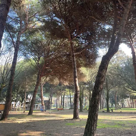 Pineta Mare