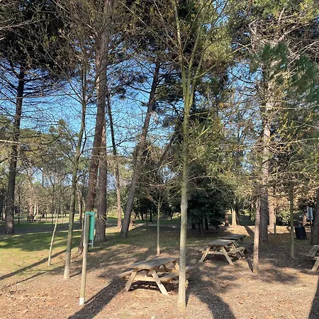 Pineta Mare Appartamento *